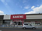 【スーパー】カスミライフガーデン茂原店まで1300ｍ