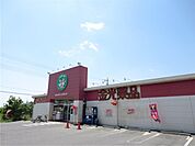 【ドラッグストア】金光薬局　勇崎店まで1600ｍ