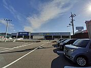 【ホームセンター】ＤＣＭのいち店まで1200ｍ