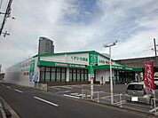 【ドラッグストア】ザグザグ宇多津店まで1200ｍ