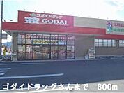 【ドラッグストア】ゴダイドラッグさんまで800ｍ