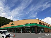 【スーパー】ツルヤ　茅野店まで430ｍ