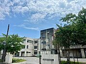 【小学校】茂原市立東部小学校まで180ｍ
