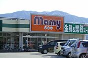 【スーパー】マミー二枚橋店まで800ｍ