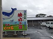 道の駅　彼杵の荘まで650ｍ