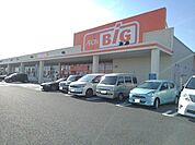 【スーパー】ザ・ビッグ櫛形店まで3200ｍ