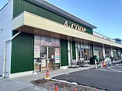 【スーパー】ＡCOOP松島店まで1100ｍ