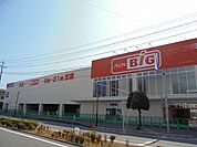 【スーパー】ザ・ビッグ岩国店まで850ｍ