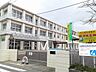 周辺：【小学校】津島市立南小学校まで1176ｍ