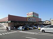 【スーパー】エブリィビグッデー富士宮店まで1200ｍ