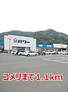 【ホームセンター】コメリまで1100ｍ