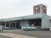 【ホームセンター】コメリハード＆グリーン児玉店まで1300ｍ