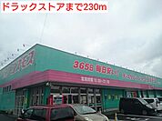 【ドラッグストア】ドラッグストアまで230ｍ