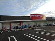 【ドラッグストア】ツルハドラッグ燕小池店まで954ｍ