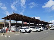 【ホームセンター】ビバホーム石巻店まで800ｍ