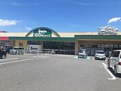 100円ショップセリアまで800ｍ