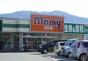 【スーパー】マミー二枚橋店まで1400ｍ