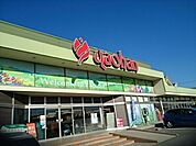 【スーパー】ヤオハン　城東店まで400ｍ