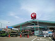 【ホームセンター】コメリ 小池店まで1200ｍ