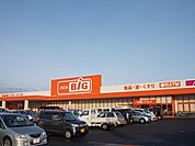 【スーパー】ザ・ビッグ　大曲飯田店まで1100ｍ