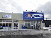 【ドラッグストア】薬王堂潟上追分店まで559ｍ