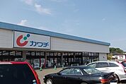 【ドラッグストア】カワチ薬品多賀城店まで1800ｍ