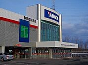 ヤマダ電機　御所野店まで700ｍ