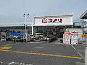 【ホームセンター】コメリハード＆グリーン御坊店様まで350ｍ