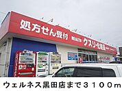 【ドラッグストア】ウェルネス黒田店まで3100ｍ