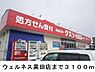 周辺：【ドラッグストア】ウェルネス黒田店まで3100ｍ