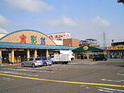 【スーパー】ハニー食彩館　丸岡店まで800ｍ