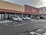 周辺：【スーパー】原信 豊栄店まで800ｍ