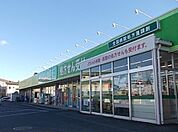 【ドラッグストア】ドラックエース箭弓町店まで530ｍ