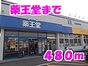 【ドラッグストア】薬王堂まで480ｍ