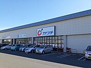 【ドラッグストア】カワチ薬局まで1000ｍ