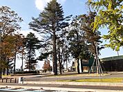 【公園】栃木県総合運動公園まで1400ｍ