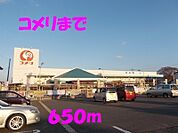 【ホームセンター】コメリまで650ｍ