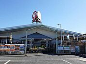 【ホームセンター】コメリ坂間店まで550ｍ