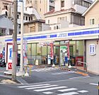【コンビニエンスストア】ローソン桜塚店まで30ｍ