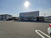 【コンビニエンスストア】ファミリーマート 高知朝倉横町まで180ｍ