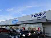 【ドラッグストア】ウエルシア田彦店まで440ｍ