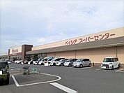 【スーパー】ベイシア芝山店まで350ｍ