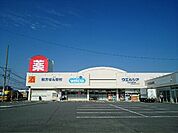 【ドラッグストア】ウエルシア玉村下新田店まで2700ｍ