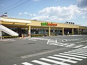 【スーパー】ヨークベニマル 台新店まで1000ｍ