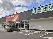 【ドラッグストア】ツルハ北上流通センター店まで1400ｍ