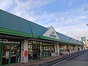 【スーパー】マルエツ天王台店まで1034ｍ