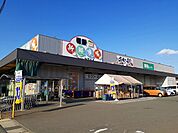 【スーパー】引野新鮮市場まで590ｍ