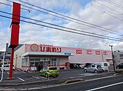 【ドラッグストア】ひまわり 浜乃木店まで140ｍ