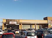 【スーパー】アルビス 高木店まで1200ｍ