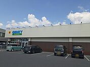 【ドラッグストア】ゲンキー米原駅西店様まで300ｍ